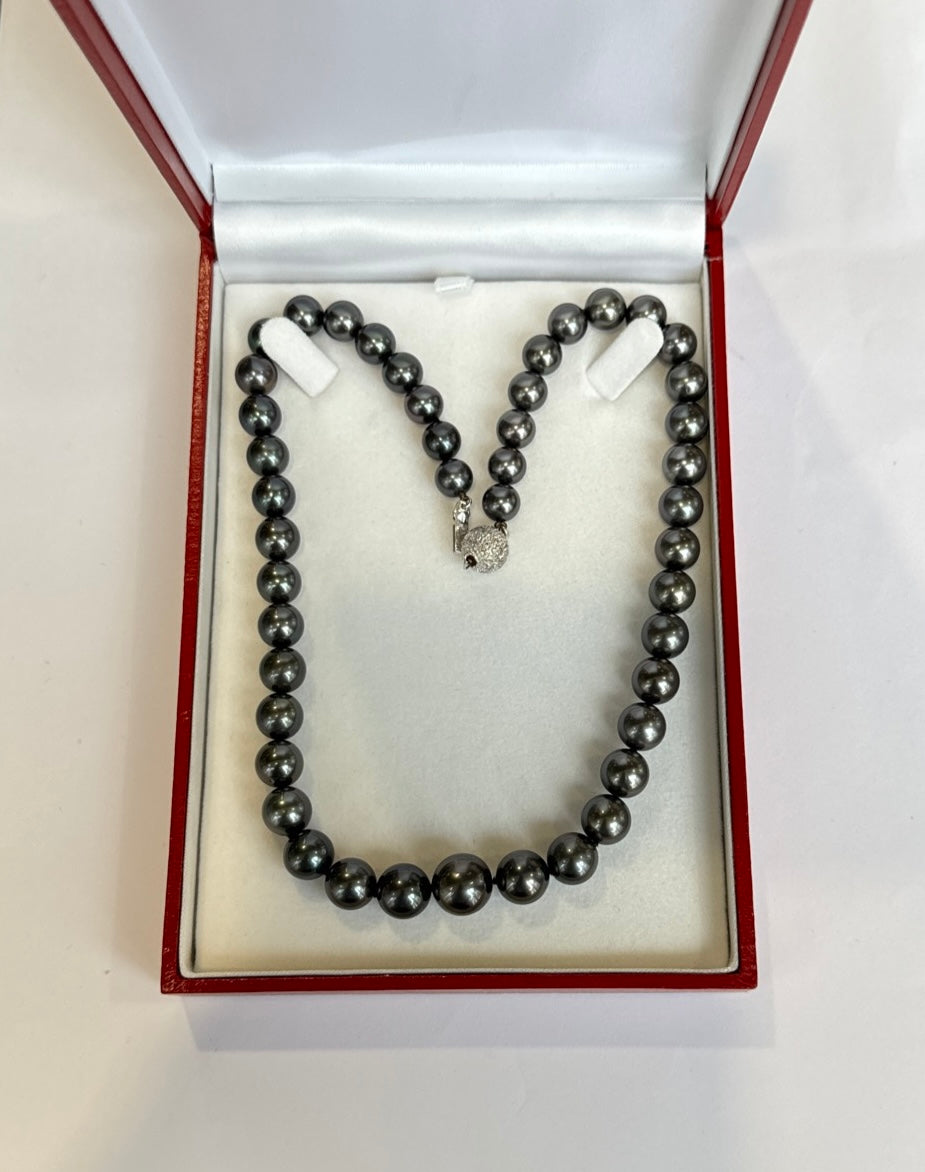 Tahitian BLACK. AAA Quality. Gem Quality Stands