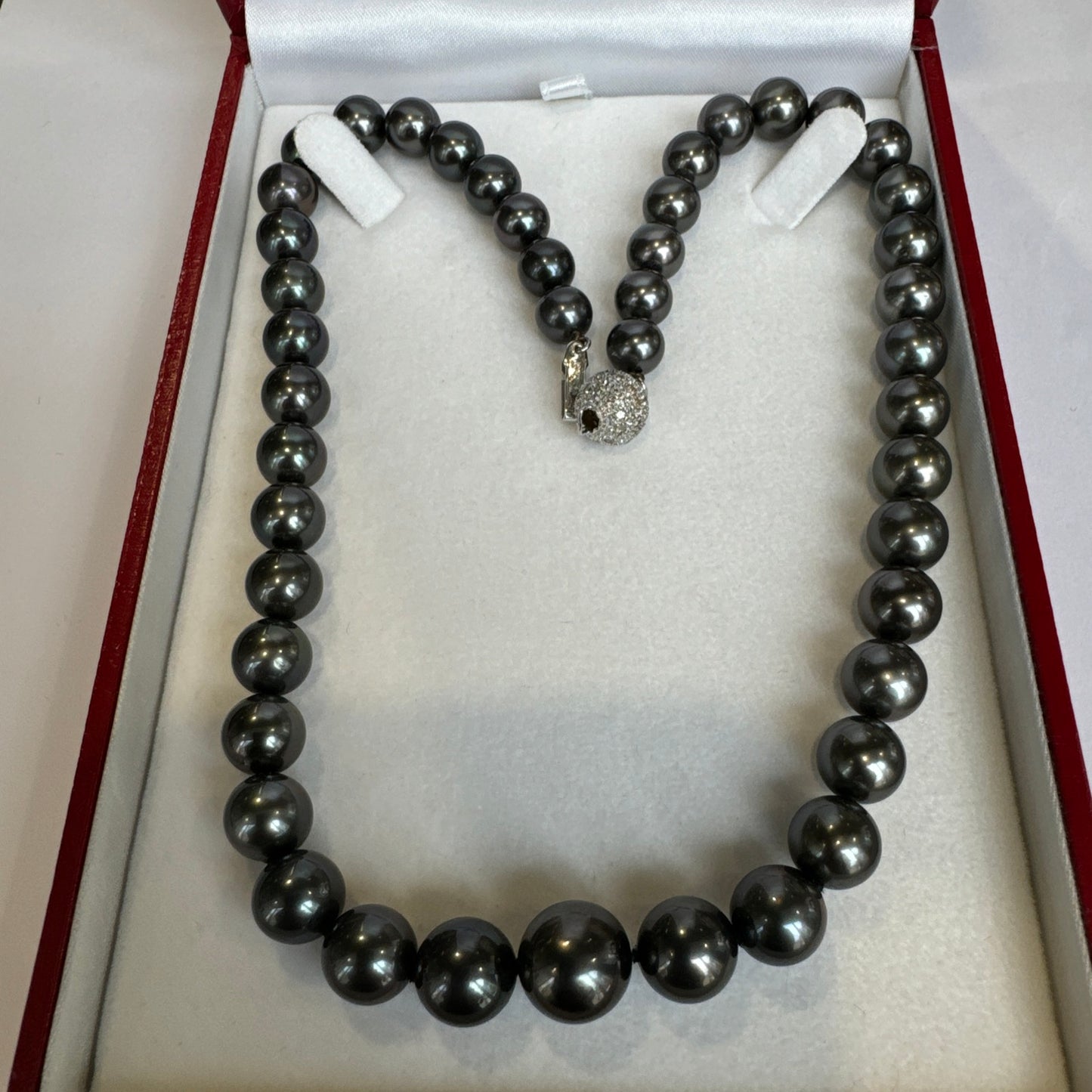 Tahitian BLACK. AAA Quality. Gem Quality Stands