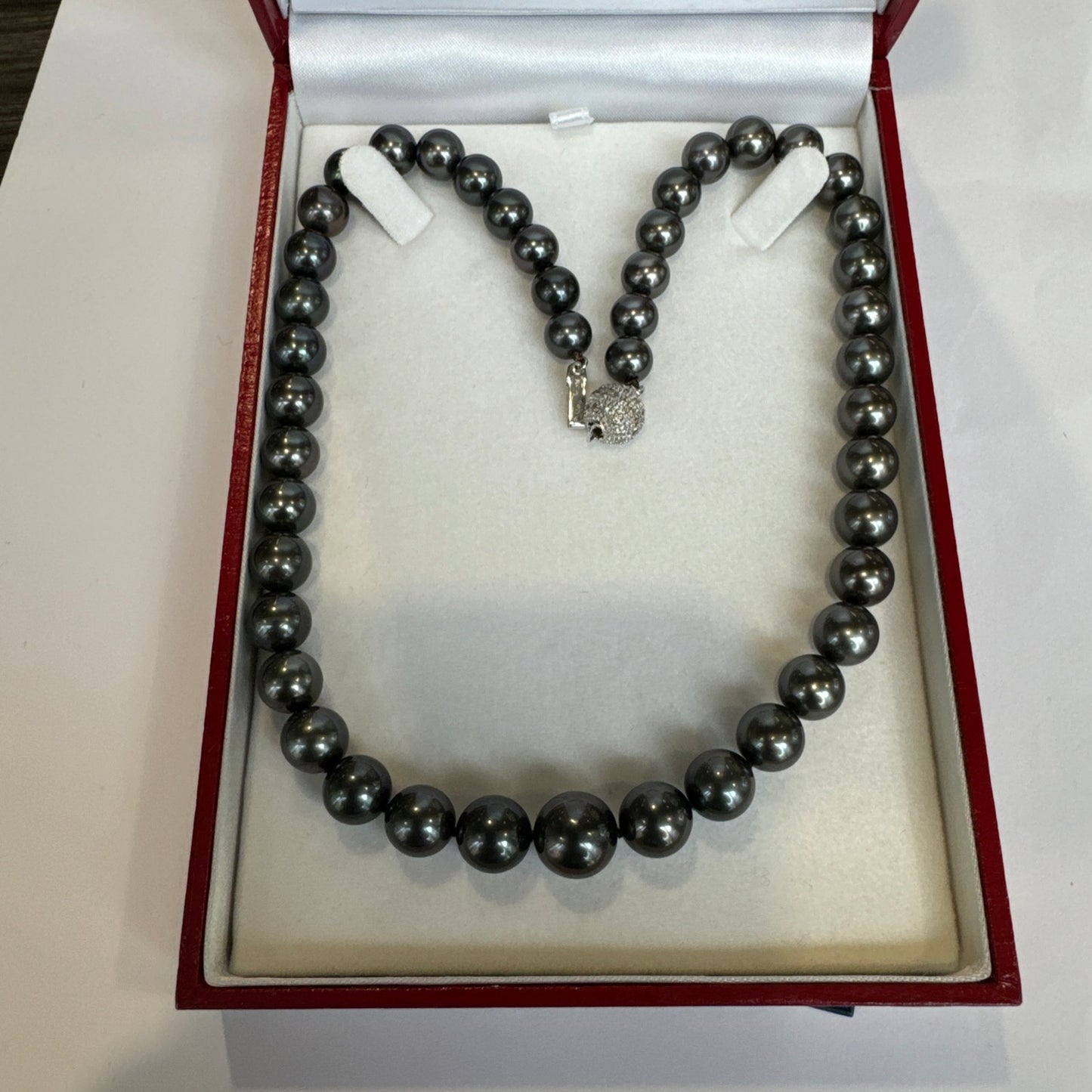Tahitian BLACK. AAA Quality. Gem Quality Stands